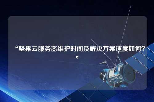 “堅(jiān)果云服務(wù)器維護(hù)時(shí)間及解決方案速度如何？”
