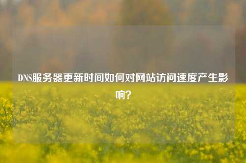 DNS服務(wù)器更新時(shí)間如何對網(wǎng)站訪問速度產(chǎn)生影響？