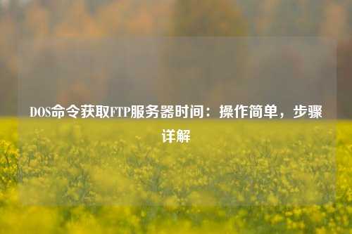 DOS命令獲取FTP服務(wù)器時(shí)間：操作簡(jiǎn)單，步驟詳解