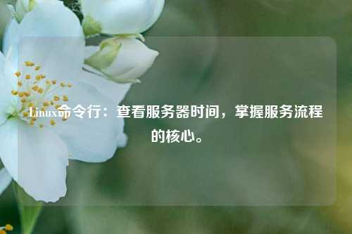Linux命令行：查看服務(wù)器時間，掌握服務(wù)流程的核心。