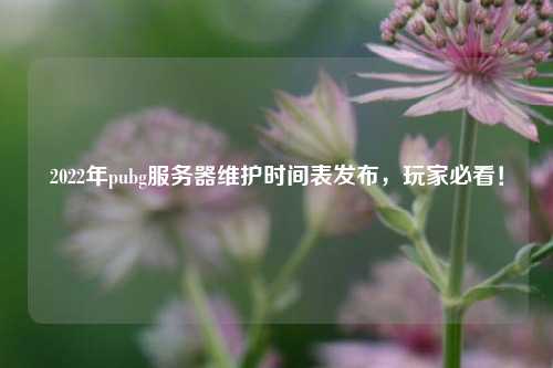 2022年pubg服務(wù)器維護時間表發(fā)布，玩家必看！