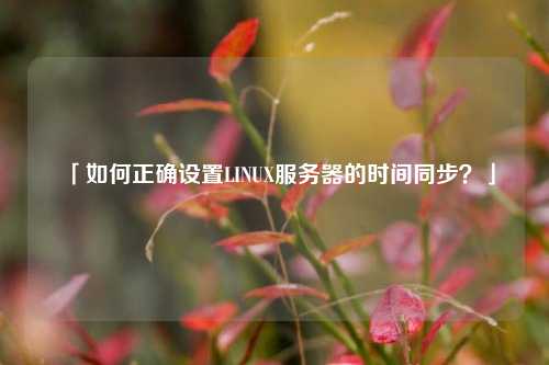 「如何正確設置LINUX服務器的時間同步？」
