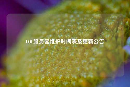 LOL服務(wù)器維護時間表及更新公告