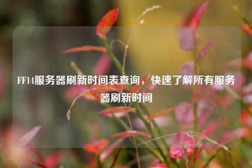 FF14服務(wù)器刷新時(shí)間表查詢，快速了解所有服務(wù)器刷新時(shí)間