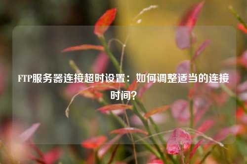 FTP服務(wù)器連接超時(shí)設(shè)置：如何調(diào)整適當(dāng)?shù)倪B接時(shí)間？