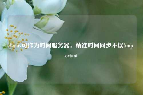 Linux可作為時間服務(wù)器，精準(zhǔn)時間同步不誤!important