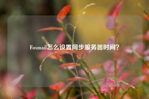 Foxmail怎么設置同步服務器時間？