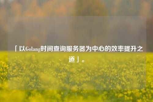 「以Golang時間查詢服務(wù)器為中心的效率提升之道」。
