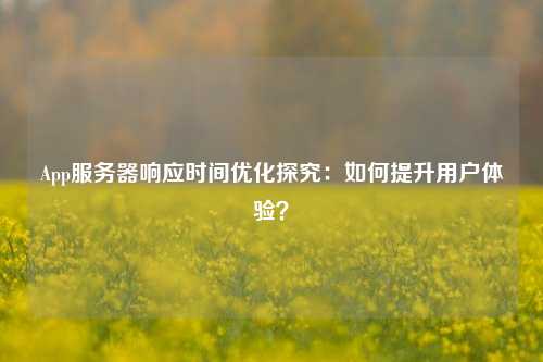 App服務(wù)器響應(yīng)時(shí)間優(yōu)化探究：如何提升用戶體驗(yàn)？