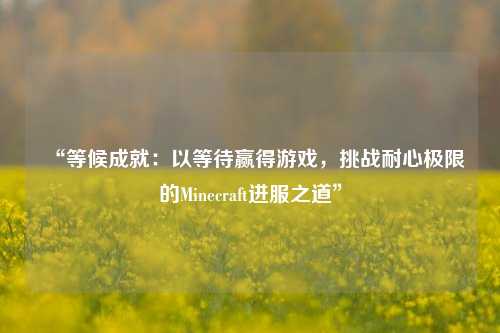“等候成就：以等待贏得游戲，挑戰(zhàn)耐心極限的Minecraft進(jìn)服之道”