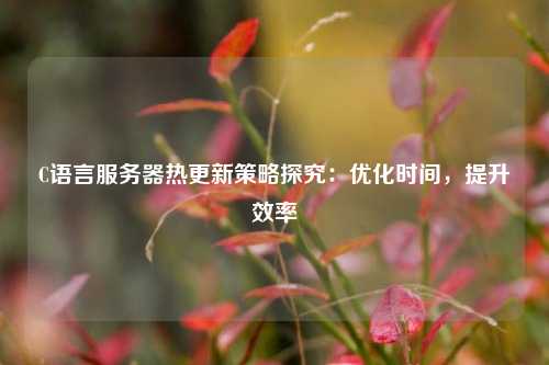 C語(yǔ)言服務(wù)器熱更新策略探究：優(yōu)化時(shí)間，提升效率
