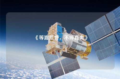 《等渡荒野，不停真爽》