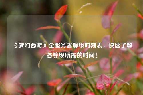 《夢幻西游》全服務(wù)器等級時刻表，快速了解各等級所需的時間！