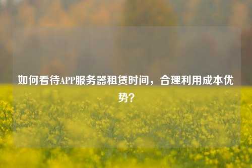 如何看待APP服務(wù)器租賃時(shí)間，合理利用成本優(yōu)勢？