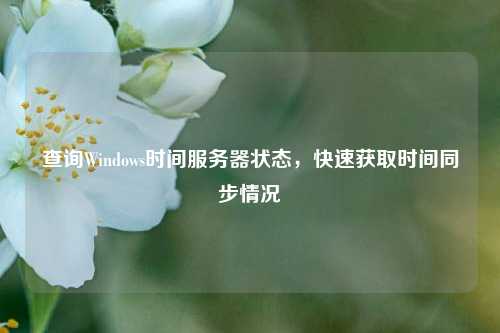 查詢Windows時(shí)間服務(wù)器狀態(tài)，快速獲取時(shí)間同步情況