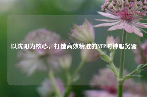 以沈陽為核心，打造高效精準(zhǔn)的NTP時(shí)鐘服務(wù)器