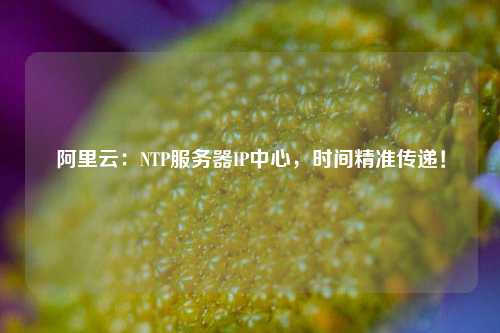 阿里云：NTP服務(wù)器IP中心，時(shí)間精準(zhǔn)傳遞！