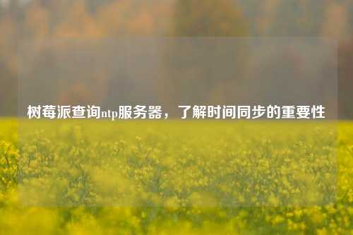 樹莓派查詢ntp服務(wù)器，了解時間同步的重要性