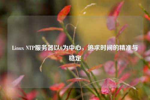Linux NTP服務器以6為中心，追求時間的精準與穩(wěn)定