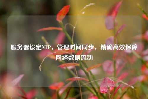 服務器設(shè)定NTP，管理時間同步，精確高效保障網(wǎng)絡數(shù)據(jù)流動