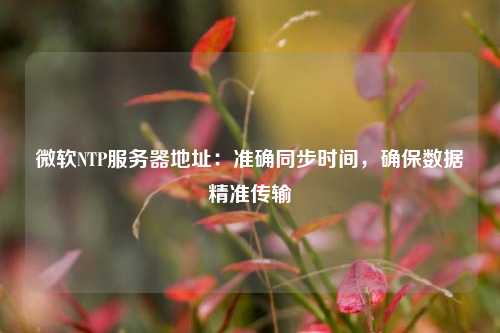 微軟NTP服務(wù)器地址：準(zhǔn)確同步時間，確保數(shù)據(jù)精準(zhǔn)傳輸