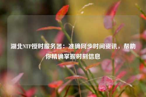 湖北NTP授時(shí)服務(wù)器：準(zhǔn)確同步時(shí)間資訊，幫助你精確掌握時(shí)刻信息