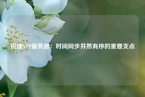 銳捷NTP服務(wù)器：時間同步井然有序的重要支點(diǎn)