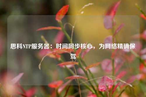 思科NTP服務(wù)器：時間同步核心，為網(wǎng)絡(luò)精確保駕