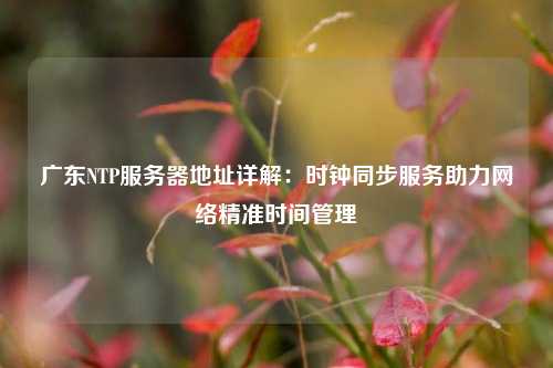 廣東NTP服務器地址詳解：時鐘同步服務助力網(wǎng)絡(luò)精準時間管理
