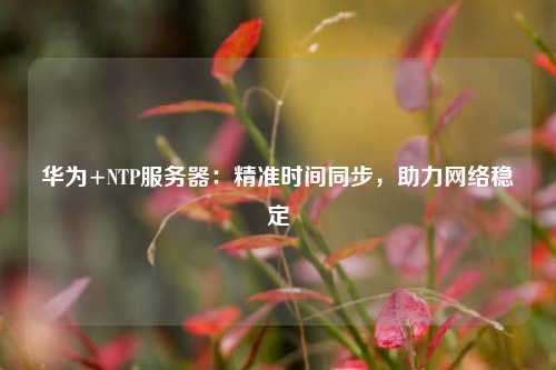 華為+NTP服務(wù)器：精準(zhǔn)時(shí)間同步，助力網(wǎng)絡(luò)穩(wěn)定