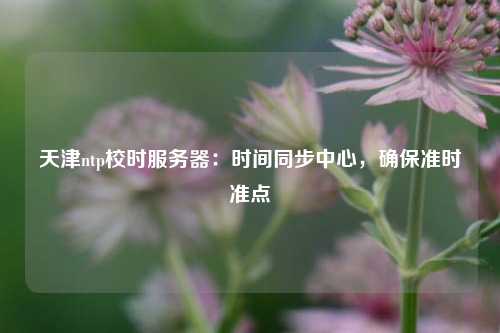 天津ntp校時服務(wù)器：時間同步中心，確保準(zhǔn)時準(zhǔn)點(diǎn)