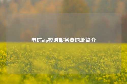 電信ntp校時(shí)服務(wù)器地址簡介
