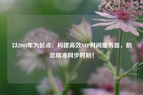 以2003年為起點，構建高效NTP時間服務器，助您精準同步時刻！