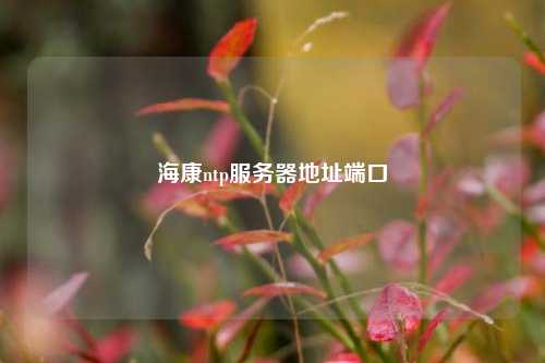 ?？祅tp服務(wù)器地址端口