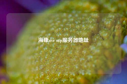 ?？祅vr ntp服務(wù)器地址