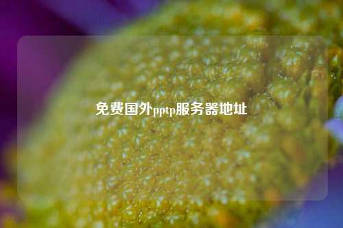 免費(fèi)國(guó)外pptp服務(wù)器地址