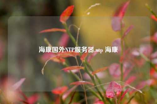 海康國外NTP服務(wù)器,ntp ?？? /></a></div>        <div   id=